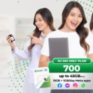 Mobile Plan for Small Business