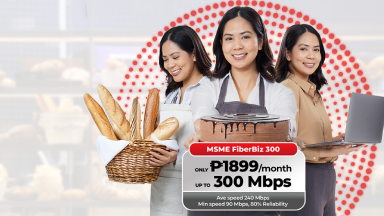 Fiber for Small Business